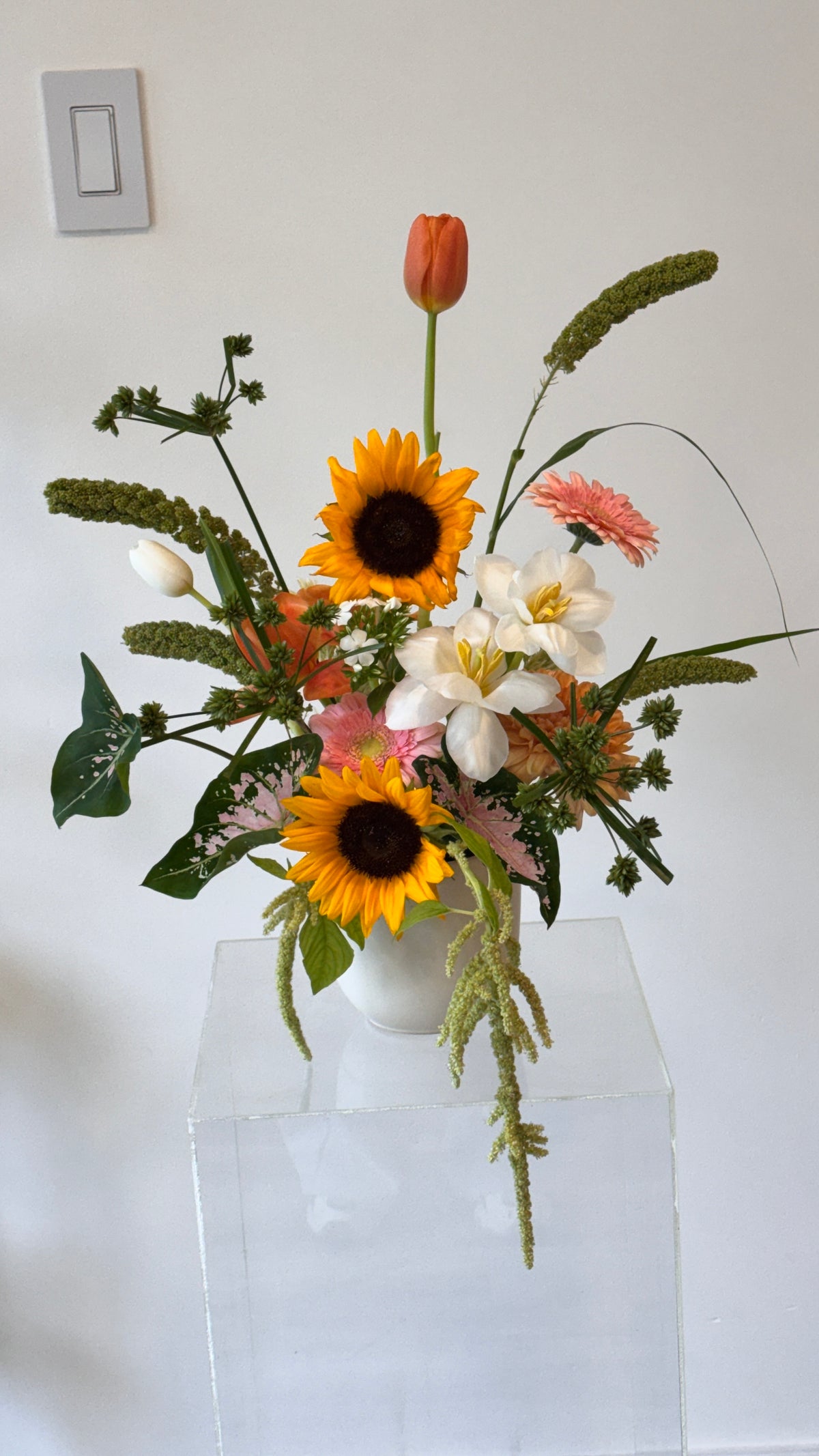 Wild Whimsy