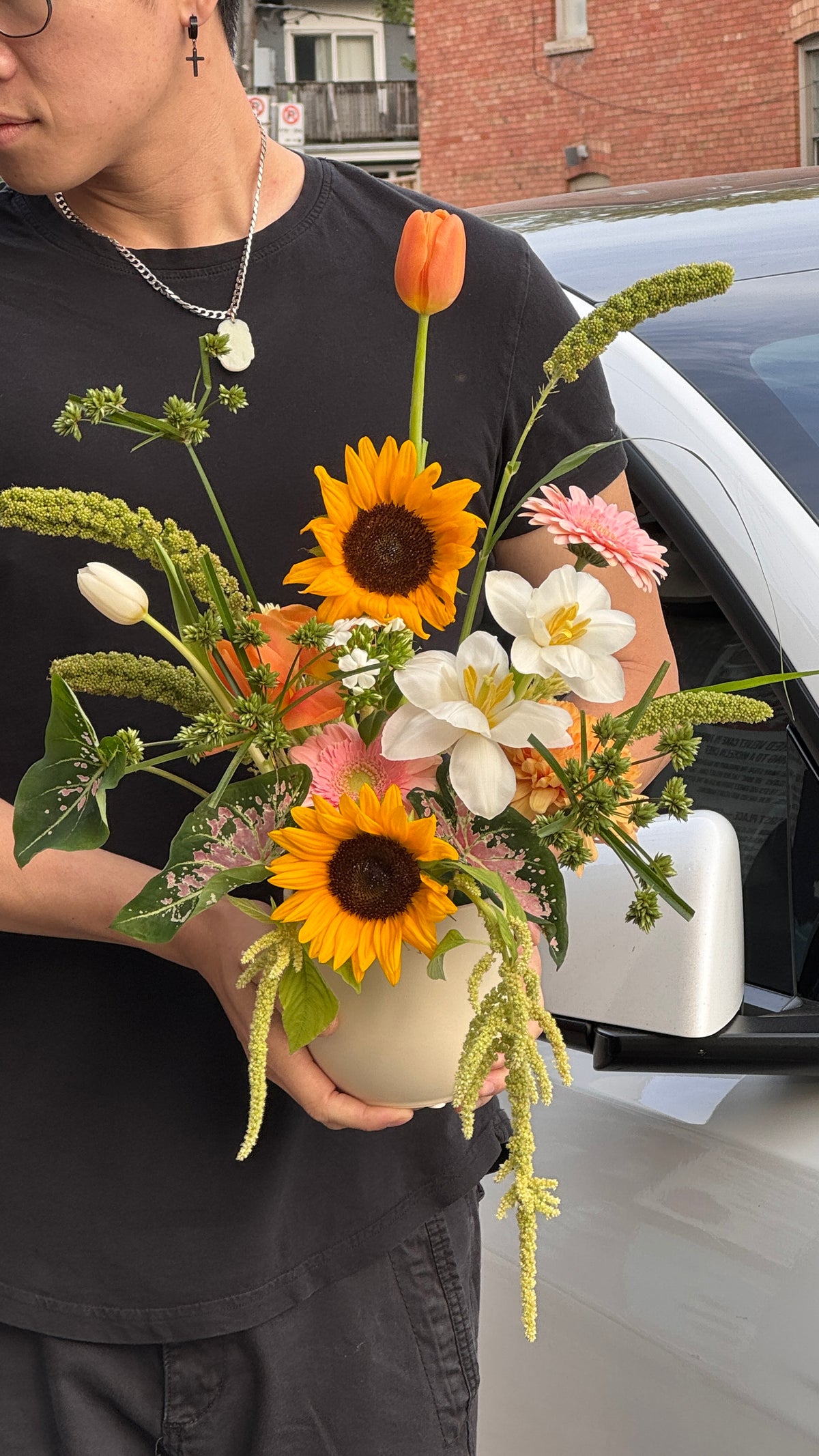 Wild Whimsy